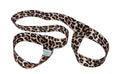 Leash - Leopard