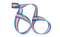 Leash - Trans stripe